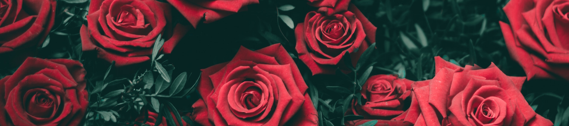 Otte Valentinsdag gaver, der får din udkårnes hjerte til at smelte